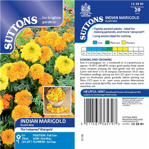 Marigold Indian Kushi